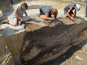 Lasy na lessach Małopolski: rekonstrukcja na podstawie archeologicznych węgli drzewnych