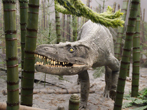 History of terrestrial ecosystems recorded in fossilized dinosaur dung – publication in Nature