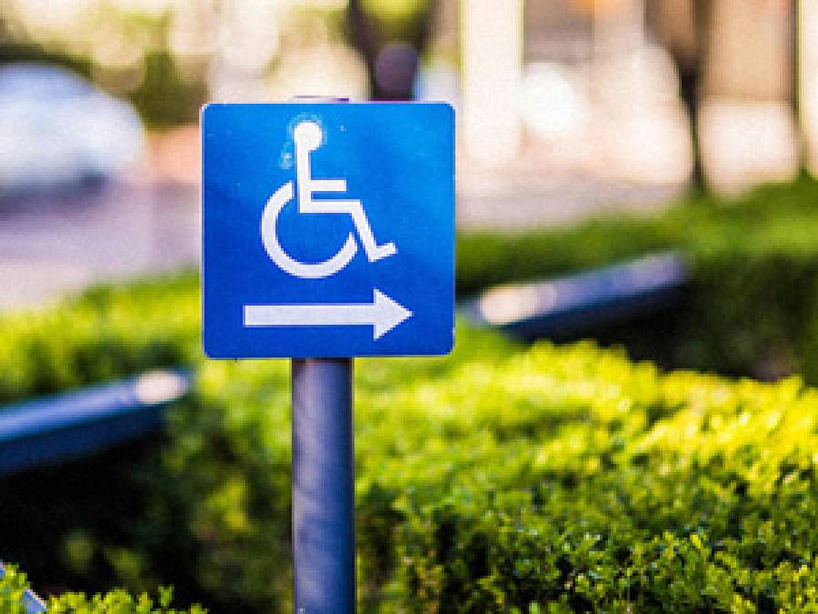 IB PAS's entry into accessibility (DOSTEP)
